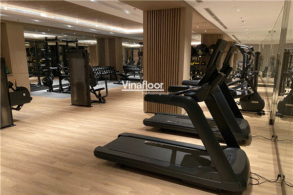 Công Trình Phòng Gym Tại Khách Sạn Từ Hoa Công Chúa